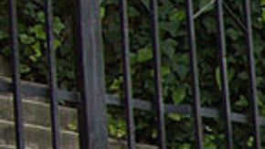 La policía dice que los delincuentes convencieron a la mujer diciéndole que tenían que podar unos árboles.