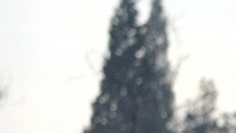 Hombre mató a 11 personas después de una disputa familiar en Montenegro