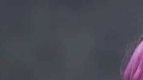 Catherine Álvarez, vicealcaldesa de la ciudad de Downey. (Suministrada)