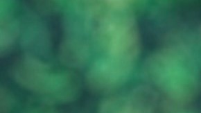 Caro Rivera Plaza crea bocaditos personalizados para eventos sociales. (Araceli Martínez/La Opinión)