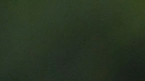 El mediocampista podría salir de Estados Unidos para llegar a México.