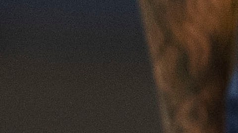 El mexicano sufrió una rotura de ligamentos en su tobillo.