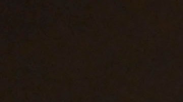 El entrenador trajo elementos de la Liga MX a la Selección para jugar ante Paraguay.