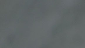 La directora fue separada de su cargo tras no clasificar al Mundial.