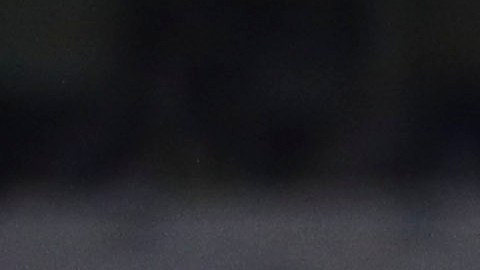 El azulcrema continuará con Fernando Ortiz en el Club América