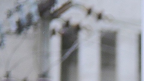 Fernando Ortiz