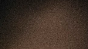 Fernando 'Tano' Ortiz, entrenador de las Águilas del América.