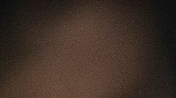 Fernando 'Tano' Ortiz, entrenador de las Águilas del América.