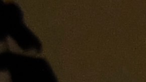 Fernando 'Tano' Ortiz, entrenador de las Águilas del América.