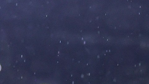 Contra Cruz Azul, las Águilas del América mostraron su mejor versión y por eso golearon.