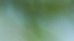 Julio César Chávez, leyenda del boxeo mexicano.