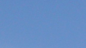 La actual sequía cobra un precio alto y obliga a los agricultores estadounidenses a matar sus cultivos