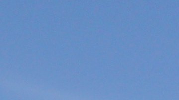 La actual sequía cobra un precio alto y obliga a los agricultores estadounidenses a matar sus cultivos