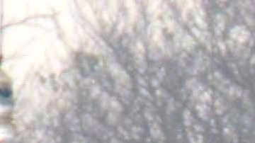 La captura del líder del narco José Bernabé Brizuela, alias La Vaca en la Ciudad de México, desata ola de violencia en Colima