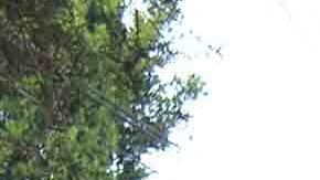 Lyn May está dispuesta a revelar sus secretos