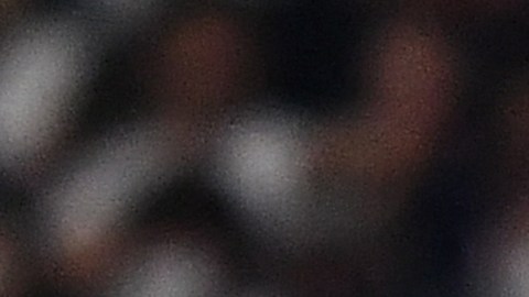 Messi desata pasiones en un aficionado que se encontró con su cromo para el album del Mundial.