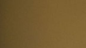 México compra tratamiento oral contra el COVID-19 de Pfizer