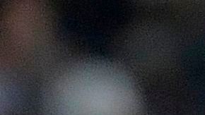 Miguel Herrera, DT de Tigres salió en defensa de Dani Alves.