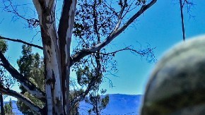 Militares en Zacatecas