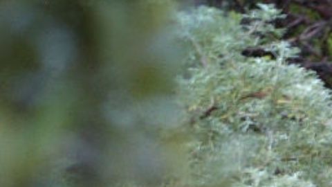 Muere mujer trágicamente momentos antes de comprometerse con su novio