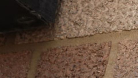 Mujer asesina a su mamá y a su tío, convive con los cadáveres durante varios días