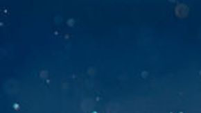 Mujer de Florida ahoga a su perro chuhuahua en una alberca, video la condena a prisión