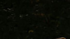 Mujer mata a indigente hispano en Illinois por un lugar para pedir limosna