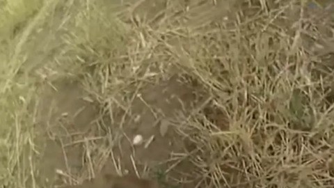 Mujer policía encerrada en prisión por no impedir que su colega maltratara a una abuela con demencia y encima disfrutó a carcajadas el brutal arresto