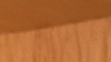 Elon Musk, el hombre más rico del mundo, manda a su madre a dormir al garaje cuando lo visita