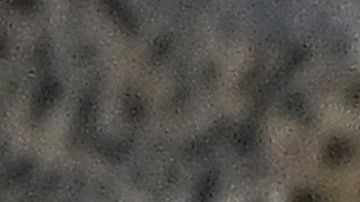 Niño de 15 años decapitado y destrozado por cocodrilo, mientras pescaba con amigos