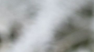 No pudo asistir a su boda porque lo contrató el equipo de sus sueños, manda a su hermano como su sustituto