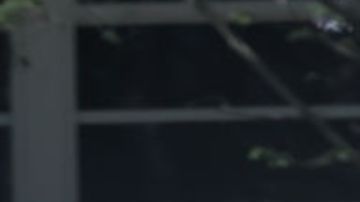 No te mudes a Texas Aparecen misteriosos espectaculares en varias ciudades de California.