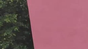 Operativo en Sinaloa