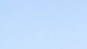 Familiares cargan el ataúd de Gardiel Solorio. (Jacqueline García/La Opinión)