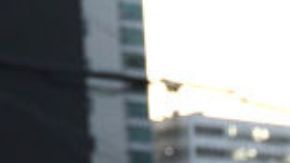 Papá lleva el lunch a su hija en su primer día de universidad, el caso se hace viral