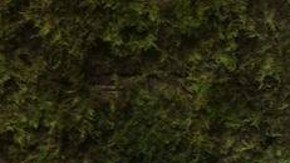 Periodista Ernesto Méndez