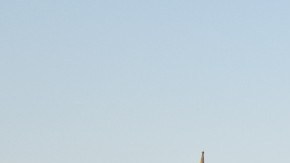 Policía Federal de México