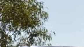 Policía de Zacatecas