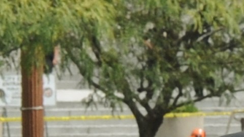 Policías de Los Ángeles suelen coleccionar fotos gráficas de celebridades muertas y otras víctimas de alto perfil como Kobe Bryant