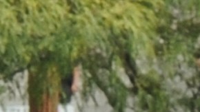 Policías de Los Ángeles suelen coleccionar fotos gráficas de celebridades muertas y otras víctimas de alto perfil como Kobe Bryant