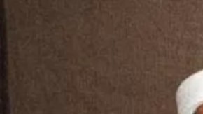 Zawahiri (d) fue el principal hombre de Osama Bin Laden. Después de la muerte de Bin Laden, asumió la dirección de al-Qaeda.