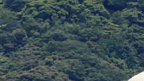 Japón vuelve a la senda de la energía nuclear