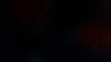 Parte del equipo de baloncesto del Real Madrid.