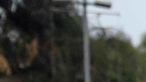 Equipo del Real Madrid durante su pretemporada en Estados Unidos.