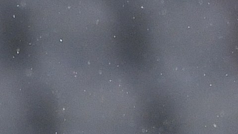 Riqui Puig está en negociaciones con el LA Galaxy.