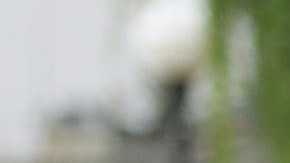 Selección mexicana sub 20 femenina se prepara de cara al Mundial de la especialidad que será celebrado en Costa Rica.