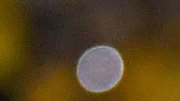 Tigres tendría todo acordado con Santos para completar la cesión de Yeferson Soteldo.