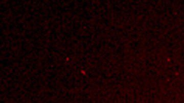 Tormenta solar podría golpear la Tierra hoy provocando exhibiciones de luz en algunos estados de Estados Unidos