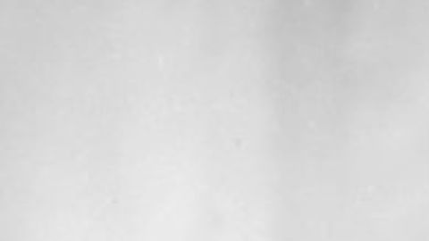 Tras ser diagnosticada con cáncer, adelanta su boda pero muere el día de la fiesta