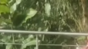 Tumbas de narcotraficantes en Colombia